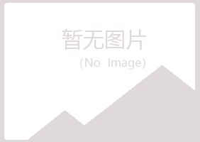 南川向雪化学有限公司